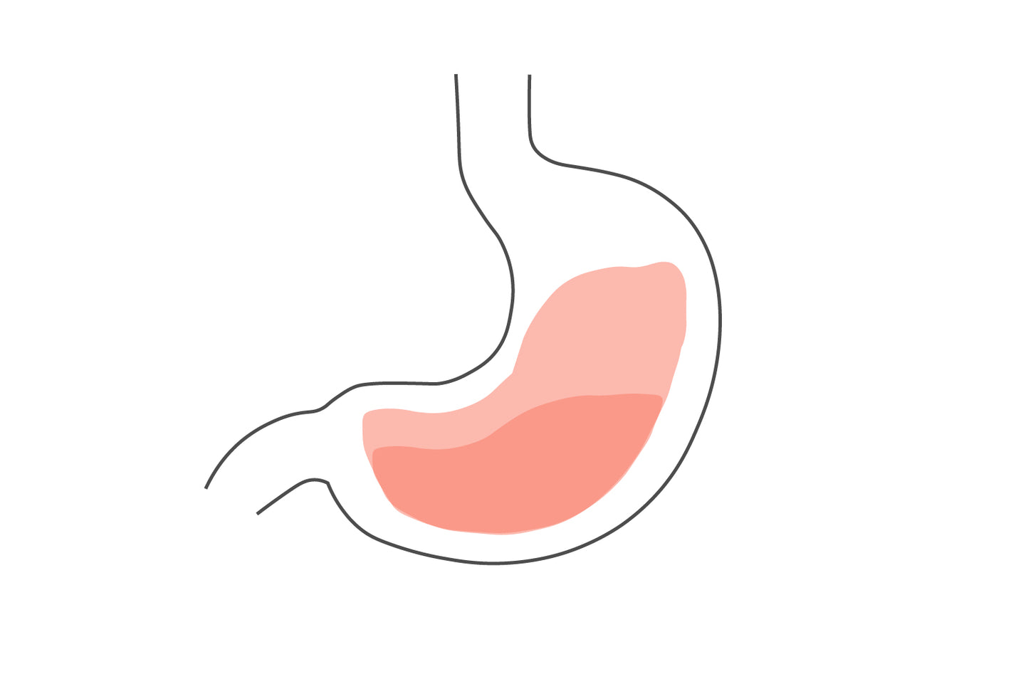 illustration depicting a stomach that is full